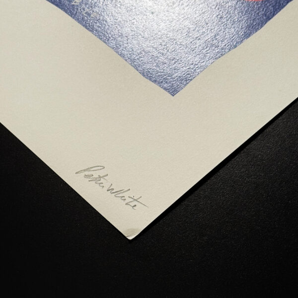 PETER WHITE - INDIMENTICABILE - Image 4